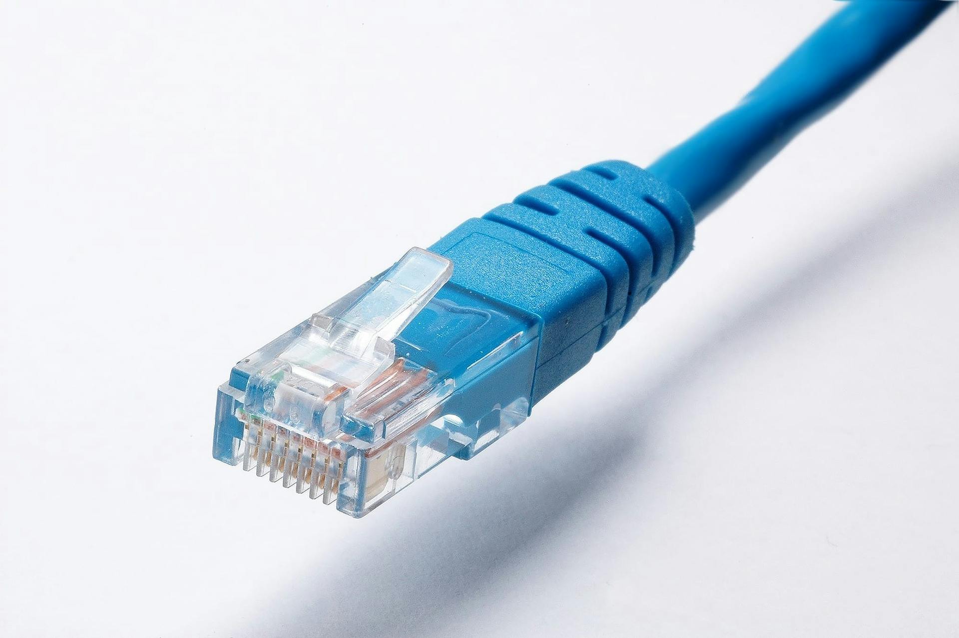 Buy Network CAT6 UTP Cable in Bangladesh 2025