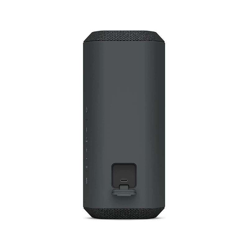 SONY SRS-XE300 Portable Wireless Speaker