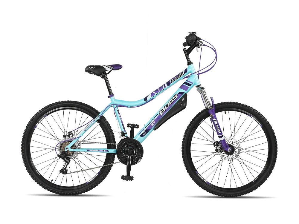 Boss Pulse Bike