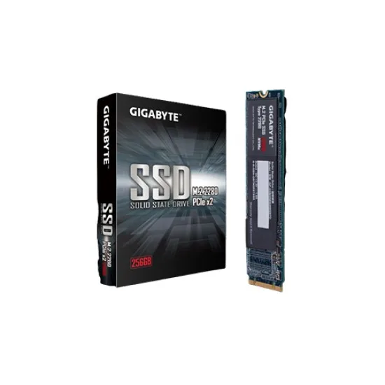 GIGABYTE 256GB M.2 PCIe SSD