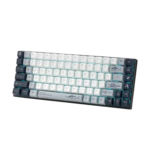 Rapoo MT510PRO Multi-Mode Backlit Mechanical Keyboard